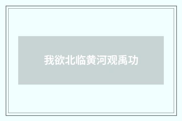 我欲北临黄河观禹功