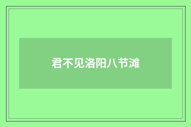 君不见洛阳八节滩
