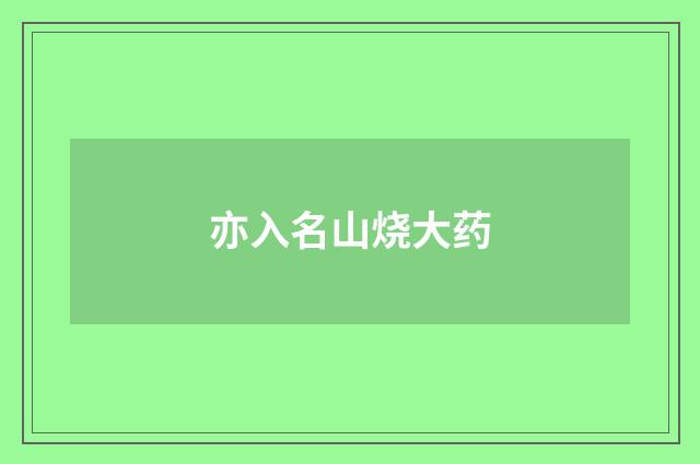 亦入名山烧大药