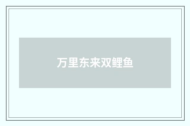 万里东来双鲤鱼