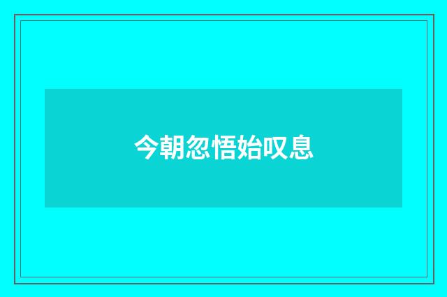 今朝忽悟始叹息