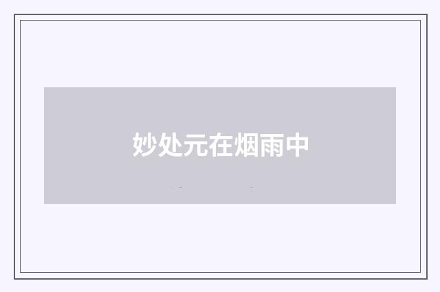 妙处元在烟雨中