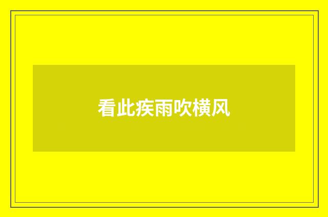 看此疾雨吹横风