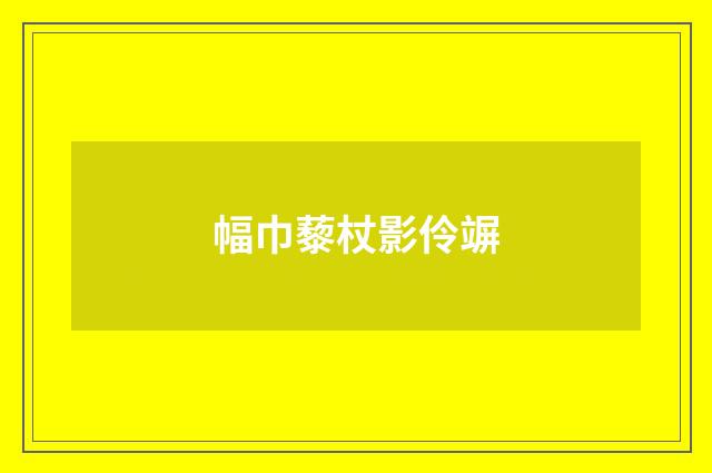 幅巾藜杖影伶竮