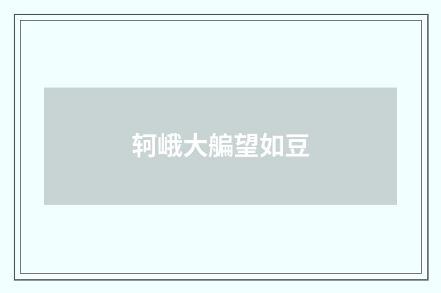 轲峨大艑望如豆