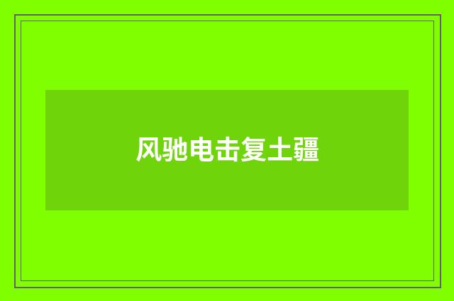 风驰电击复土疆