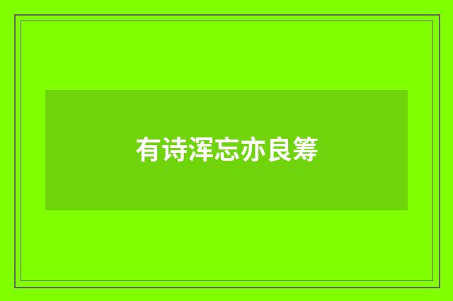 有诗浑忘亦良筹