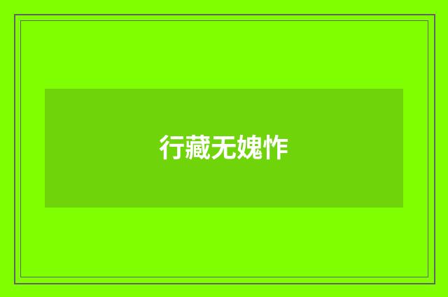 行藏无媿怍