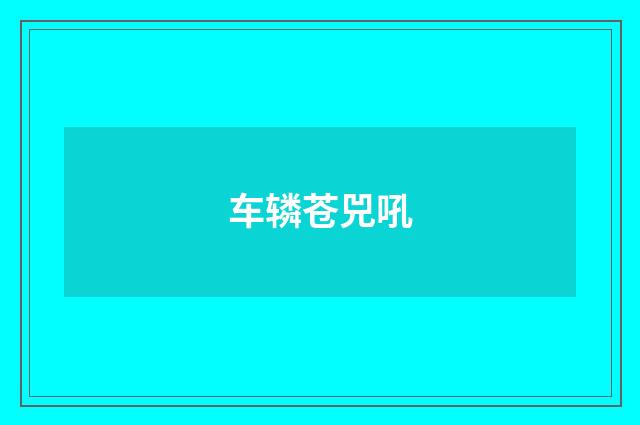 车辚苍兕吼