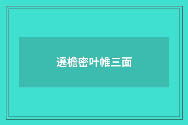 遶檐密叶帷三面
