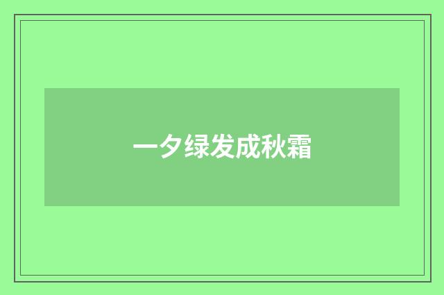 一夕绿发成秋霜