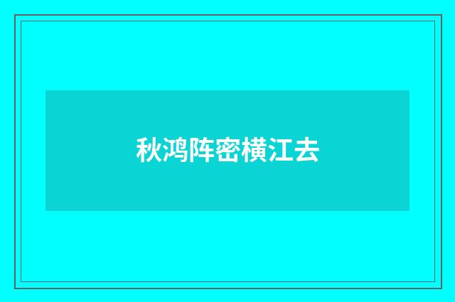 秋鸿阵密横江去