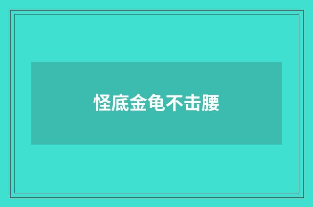 怪底金龟不击腰
