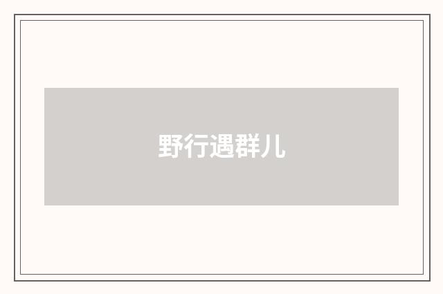 野行遇群儿