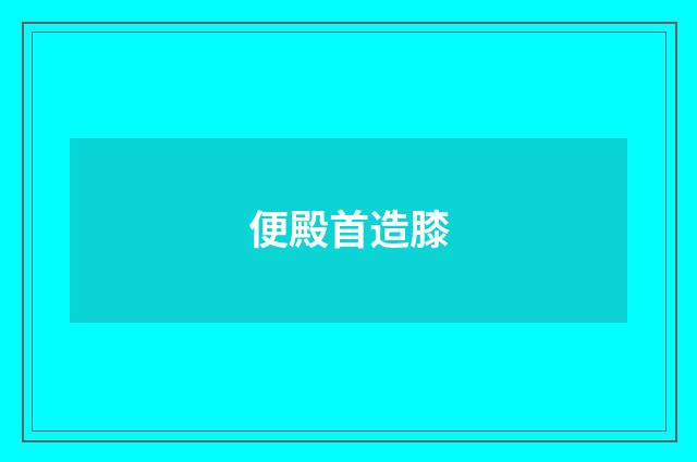 便殿首造膝