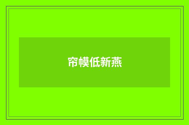 帘幙低新燕