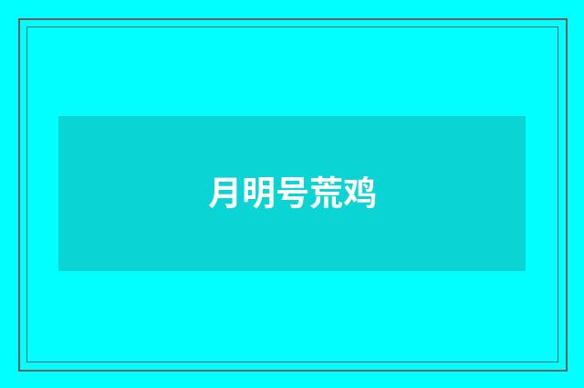 月明号荒鸡
