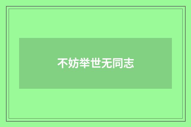 不妨举世无同志