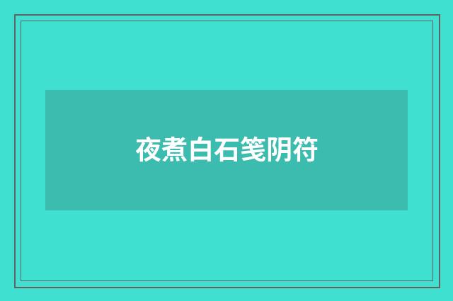 夜煮白石笺阴符
