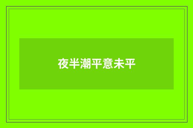 夜半潮平意未平