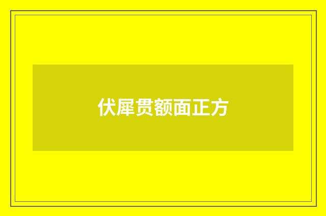 伏犀贯额面正方