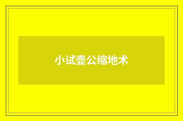 小试壶公缩地术