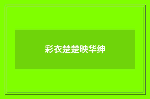 彩衣楚楚映华绅