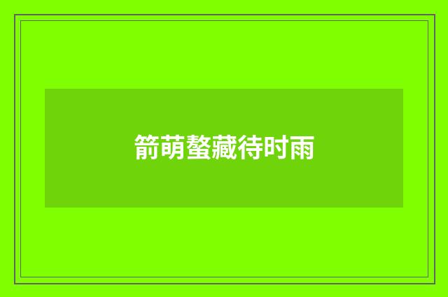 箭萌螯藏待时雨