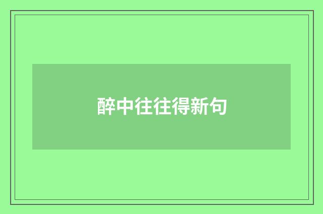 醉中往往得新句
