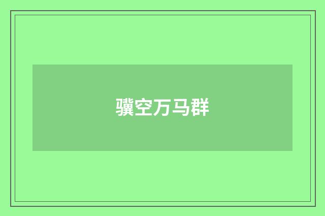 骥空万马群