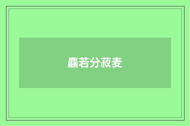 麤若分菽麦