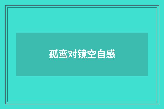 孤鸾对镜空自感