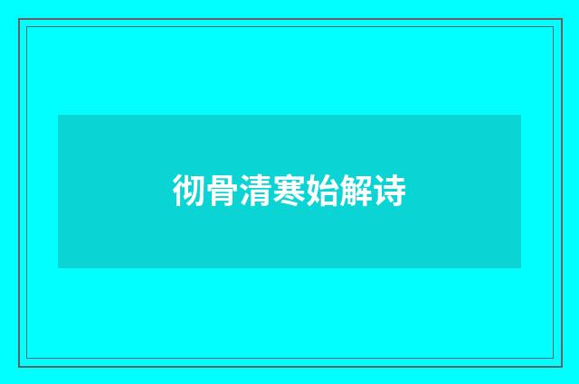 彻骨清寒始解诗