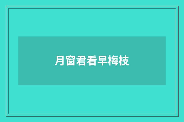 月窗君看早梅枝