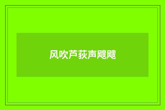 风吹芦荻声飕飕