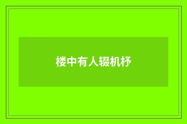 楼中有人辍机杼
