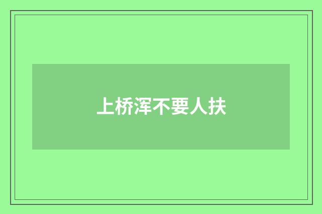 上桥浑不要人扶