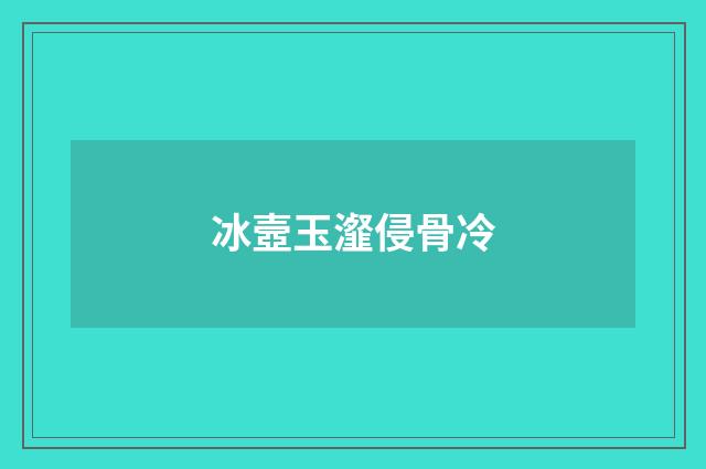 冰壼玉瀣侵骨冷