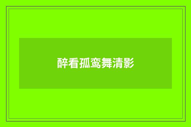 醉看孤鸾舞清影