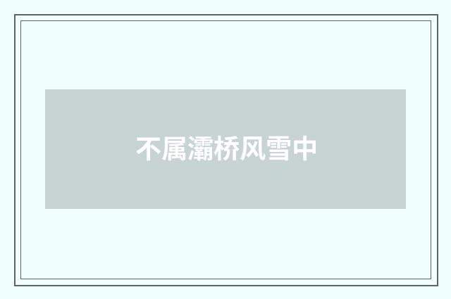 不属灞桥风雪中