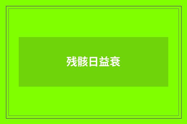 残骸日益衰