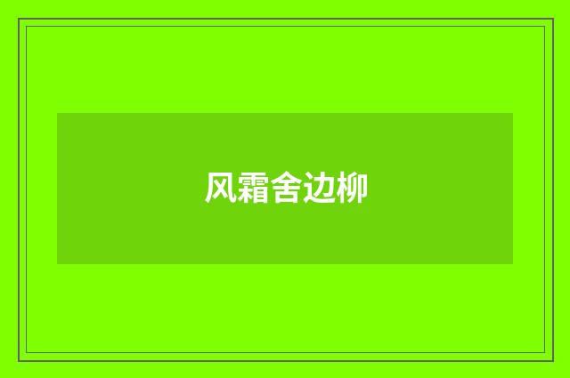 风霜舍边柳