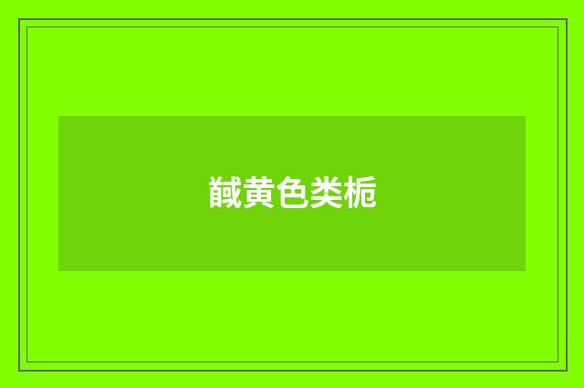 馘黄色类栀