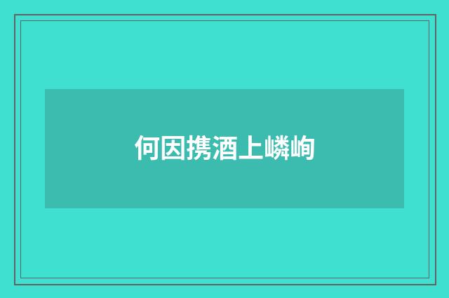 何因携酒上嶙峋