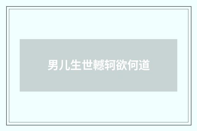 男儿生世轗轲欲何道