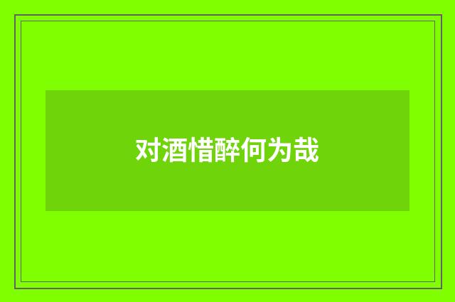 对酒惜醉何为哉