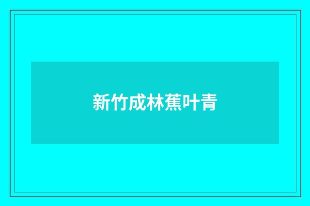 新竹成林蕉叶青