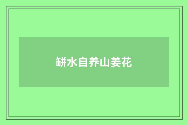 缾水自养山姜花