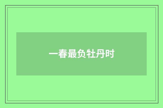 一春最负牡丹时