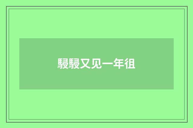 駸駸又见一年徂